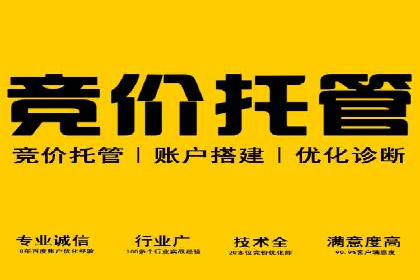 某企业选择sem代运营公司的决策过程及效果展示